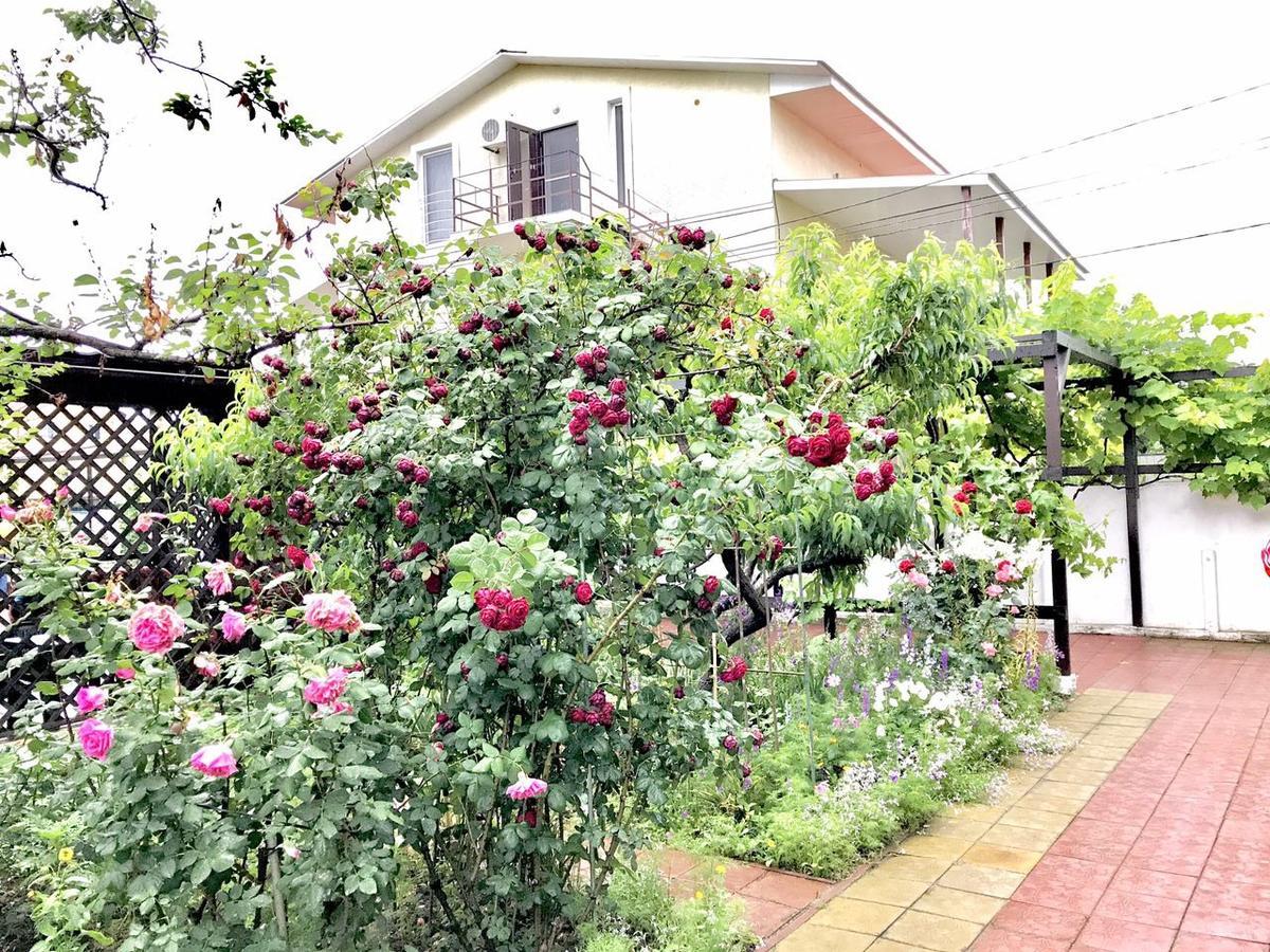 זאטוקה Akvitaniya Mini-Hotel מראה חיצוני תמונה
